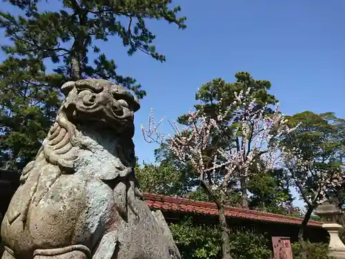 小松天満宮の狛犬