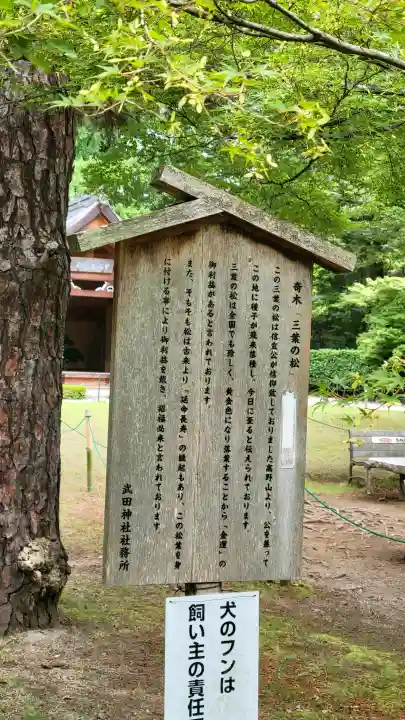 武田神社(山梨県)