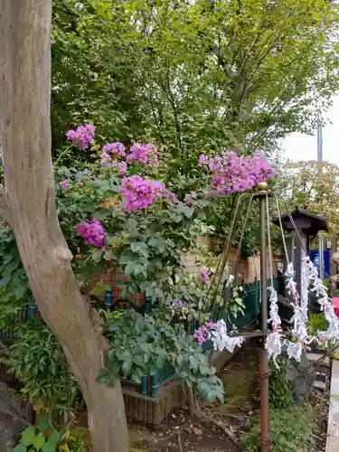 桜神宮(東京都)