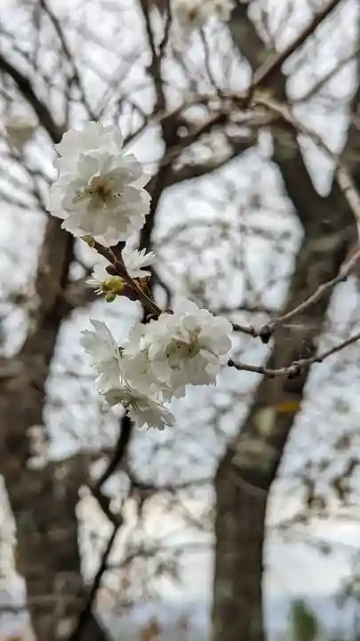 法雲寺(京都府)