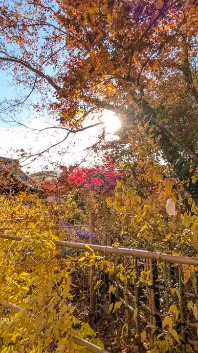 梨木神社(京都府)