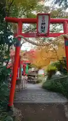 尾曳稲荷神社の鳥居