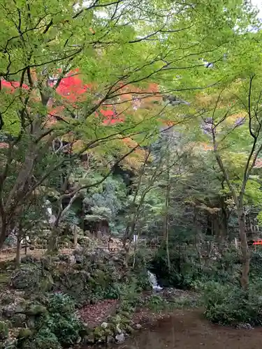 聖寳寺の庭園