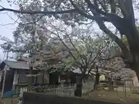 浄蓮華院(京都府)