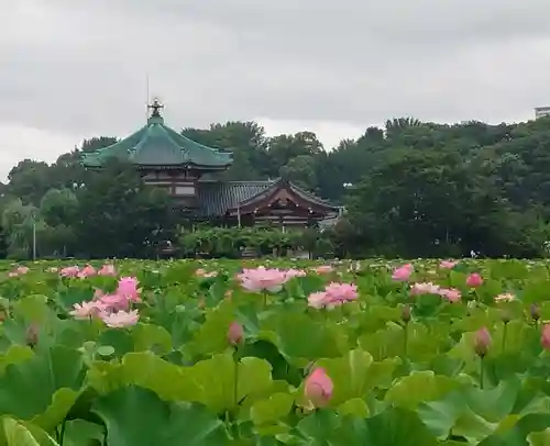 寛永寺不忍池弁天堂(東京都)