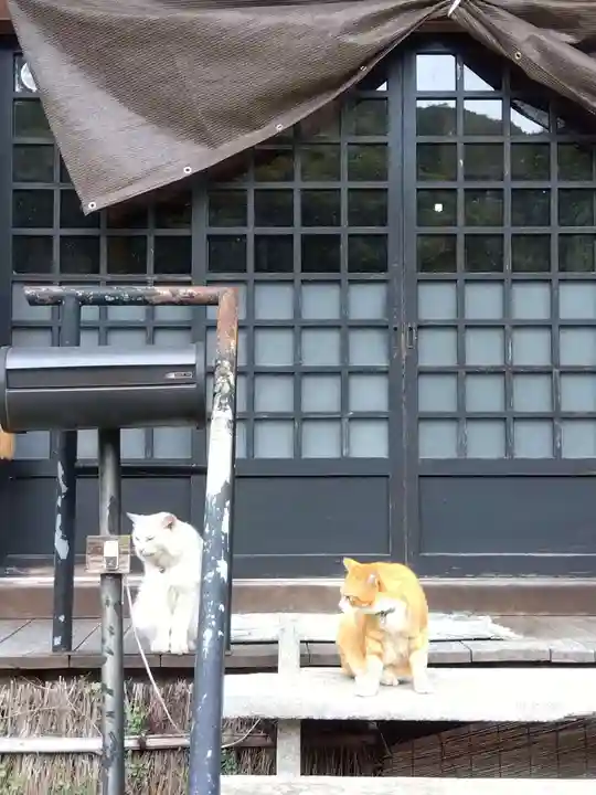 光珠院(埼玉県)