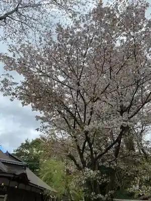 𠮷水神社（吉水神社）(奈良県)