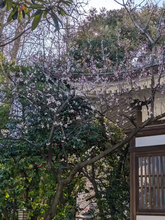 鳥越神社(東京都)