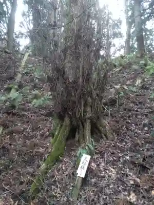 鶴形金刀比羅宮のその他建物