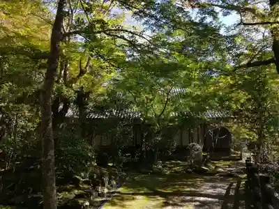 西明寺のその他建物
