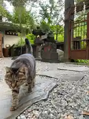 小野照崎神社の動物