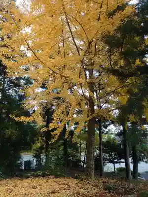 三柱神社(駒場町)の周辺