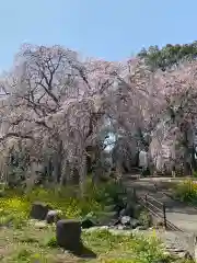 本佛寺別院　法華原の自然