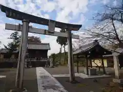 御井神社の鳥居