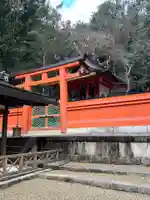 春日大社 若宮(春日若宮)(奈良県)