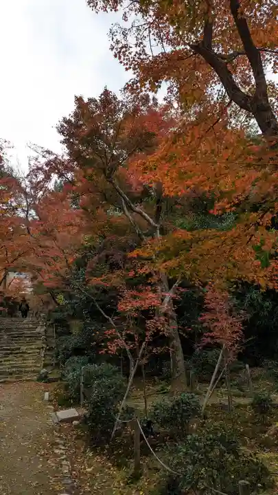 浄住寺(京都府)