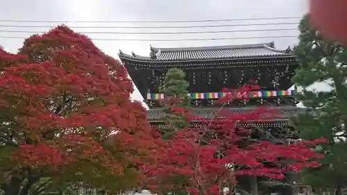 くろ谷 金戒光明寺の建物その他