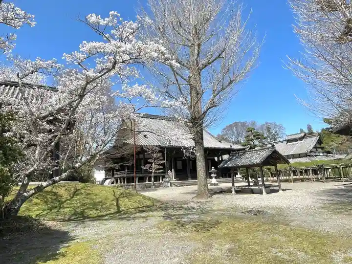 本誓寺(東本誓寺)(滋賀県)