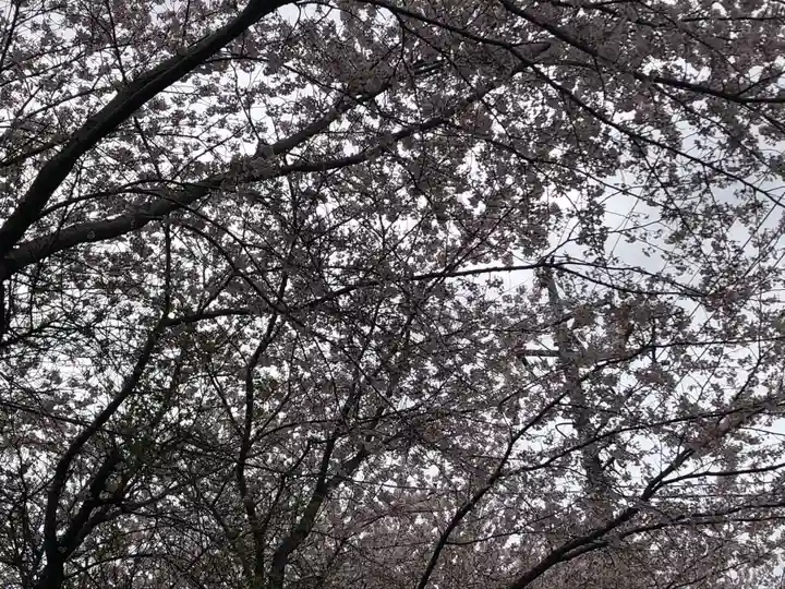 素鵞神社の自然