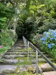 三戸大神宮(青森県)