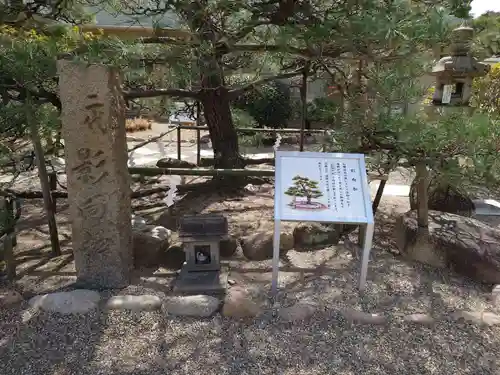 和田神社の庭園