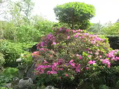 浄光明寺(神奈川県)