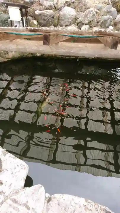 長橋寺(京都府)