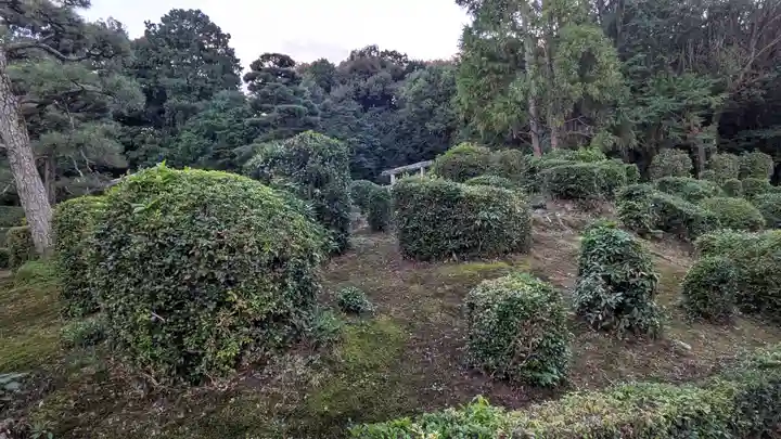 鳥羽天皇皇后璋子 花園西陵(京都府)