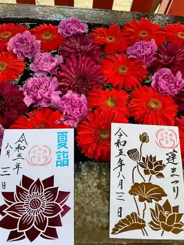 白山神社の御朱印