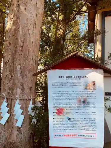 神鳥前川神社の歴史