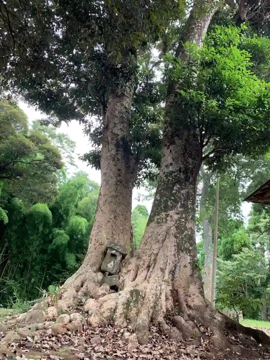 須賀神社(千葉県)