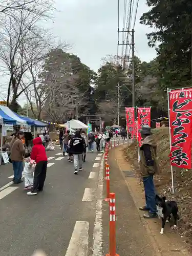 春日神社(茨城県)