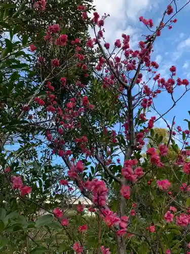 寒川神社の自然