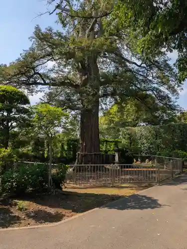 高勝寺(東京都)