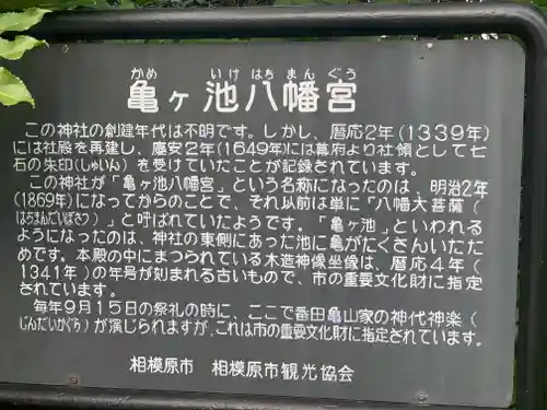 亀ケ池八幡宮の歴史