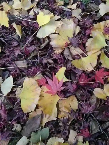 安養寺の庭園