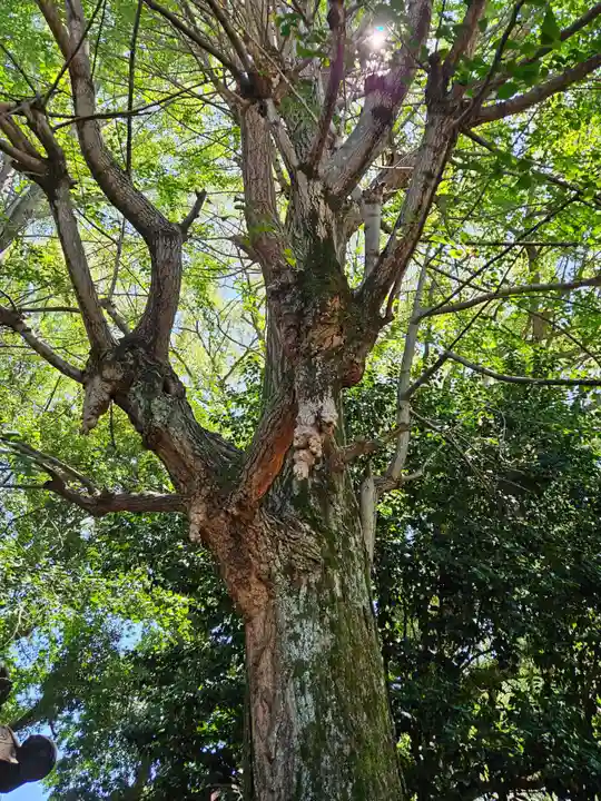 上野東照宮(東京都)