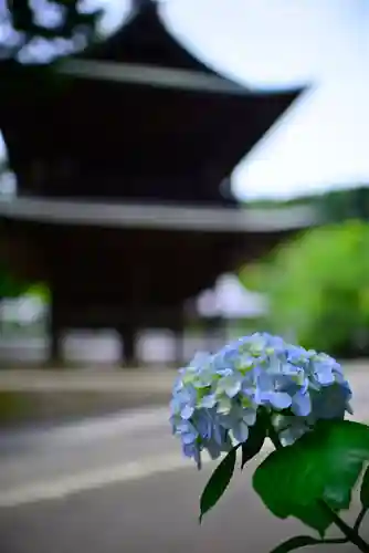 円覚寺(神奈川県)