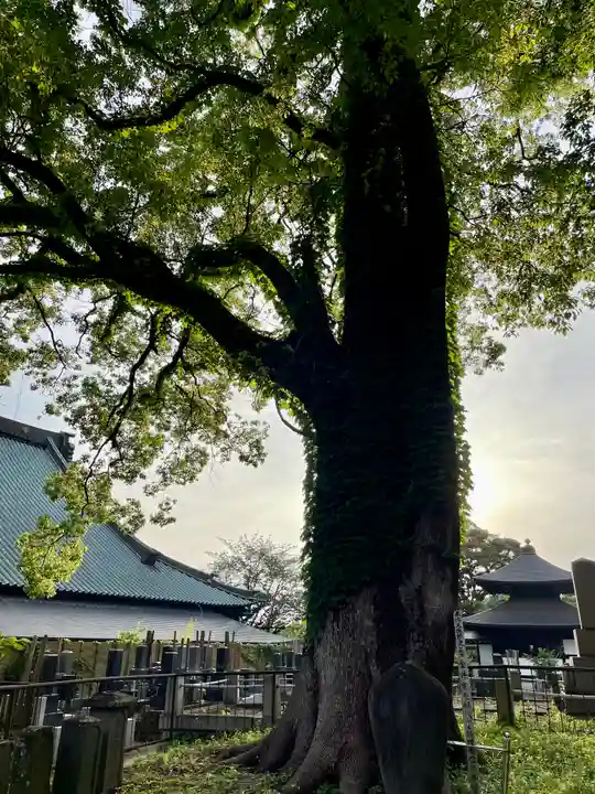 長生院(神奈川県)