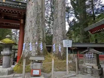 日光二荒山神社の{uncategorized: "未分類", other: "その他", undefined: "問題あり", building: "その他建物", grave: "お墓", sacred_gate: "鳥居", guardian: "狛犬", statue: "像", buddha: "仏像", history: "歴史", nature: "自然", garden: "庭園", animal: "動物", pagoda: "塔", temizu: "手水舎", mountain_gate: "山門・神門", sanctuary: "本殿・本堂", subordinate: "末社・摂社", art: "芸術", scenery: "景色", jizo: "地蔵", ema: "絵馬", goshuin: "御朱印", omikuji: "おみくじ", items: "授与品その他", amulet: "お守り", goshuincho: "御朱印帳", eats: "食事", festival: "お祭り", votive_dance: "神楽", shichigosan: "七五三参", wedding: "結婚式", experience: "体験その他", initially: "初詣", around: "周辺", anti_infection: "感染症対策"}