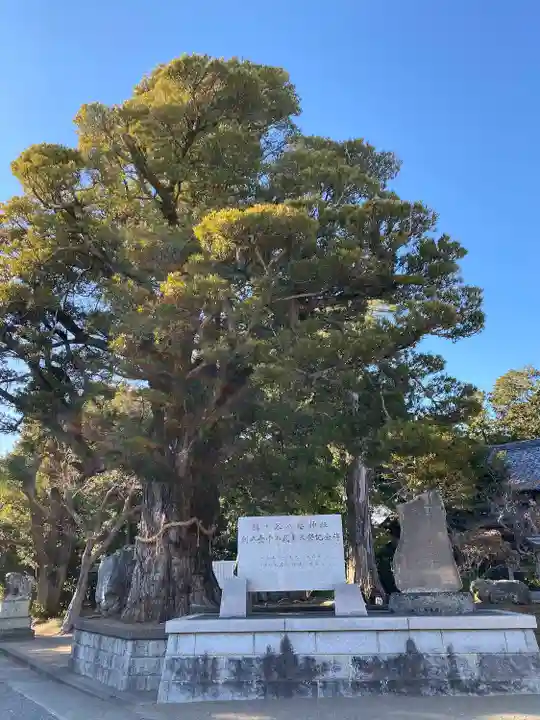 鶴谷八幡宮(千葉県)