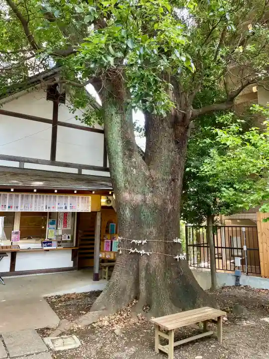 上目黒氷川神社(東京都)