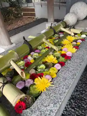 東郷神社の{uncategorized: "未分類", other: "その他", undefined: "問題あり", building: "その他建物", grave: "お墓", sacred_gate: "鳥居", guardian: "狛犬", statue: "像", buddha: "仏像", history: "歴史", nature: "自然", garden: "庭園", animal: "動物", pagoda: "塔", temizu: "手水舎", mountain_gate: "山門・神門", sanctuary: "本殿・本堂", subordinate: "末社・摂社", art: "芸術", scenery: "景色", jizo: "地蔵", ema: "絵馬", goshuin: "御朱印", omikuji: "おみくじ", items: "授与品その他", amulet: "お守り", goshuincho: "御朱印帳", eats: "食事", festival: "お祭り", votive_dance: "神楽", shichigosan: "七五三参", wedding: "結婚式", experience: "体験その他", initially: "初詣", around: "周辺", anti_infection: "感染症対策"}