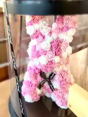 光兎神社(新潟県)