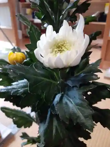 伏木香取神社(茨城県)