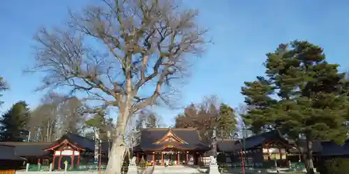 北海道護國神社の本殿