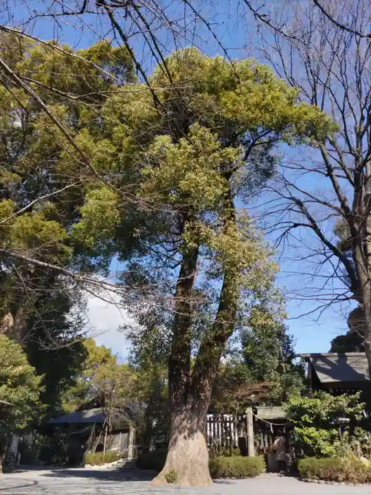 阿佐ヶ谷神明宮のその他建物