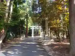 虫生神社の鳥居