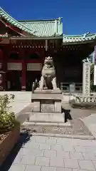 神田神社（神田明神）の狛犬