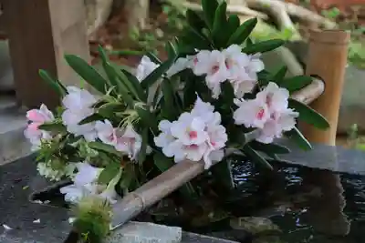 高司神社〜むすびの神の鎮まる社〜の手水舎